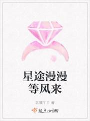 星途漫漫之璀璨人生