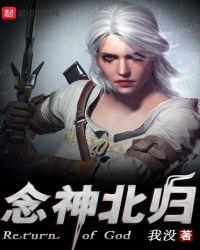 念神北归的主要内容