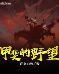 甲斐的野望TXT