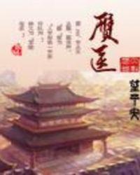 赝医TXT