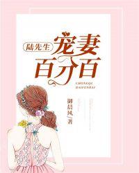 陆先生宠妻日记