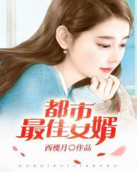 都市最佳女婿刘丽王强