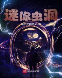 小型虫洞模型
