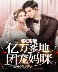 亿万总裁一胎四宝