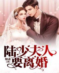 陆少夫人要离婚txt