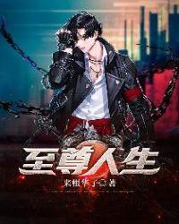 至尊人生300章