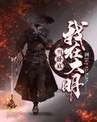 我在大明当卧底 书评