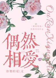 偶然相爱txt完整版