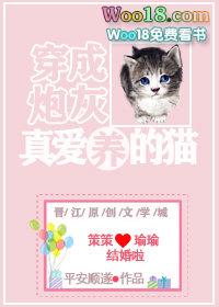 穿成炮灰穿书