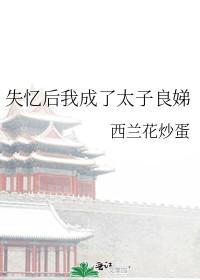 失忆后我成了太子良娣阅读