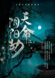 天命阴阳劫奇书