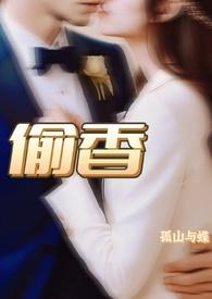 小姨夫txt