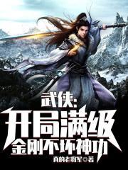 武侠开局满级金刚不坏神功 真的老将军