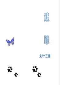 迷踪是谁