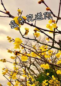 这朵花送你的