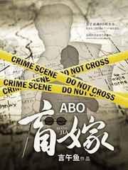 ABO盲嫁讲的是什么