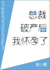 总裁破产后我怀孕了 壹小糖