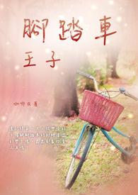 脚踏车的价格