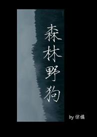 森林野狗吠月明打一生肖