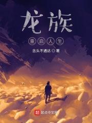 龙族重启人生笔趣阁无弹窗阅读