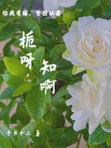 栀是什么意思和含义