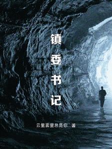 雷州市调风镇委书记