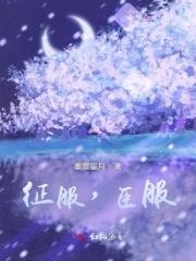 臣服和征服的区别
