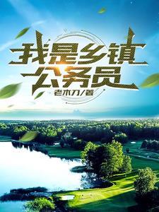 我是乡镇公务员免费完整版