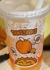 做你的猫tnt