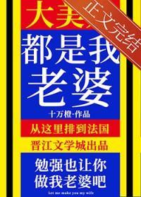 大美人是我老婆贺枕流视角