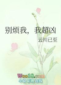 别烦我了行吗