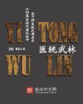 医统武林 页半三更