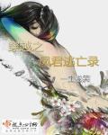 穿越之凤君逃亡录(gl纯百)