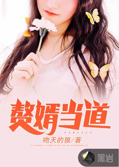 上门赘婿王浩李洁