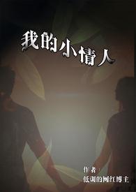 我的小情人欢迎你歌词