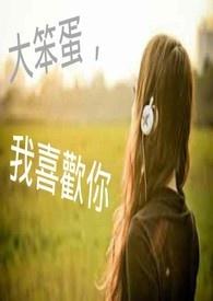 笨蛋我喜欢你用英语怎么说