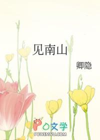 我见南山双男主