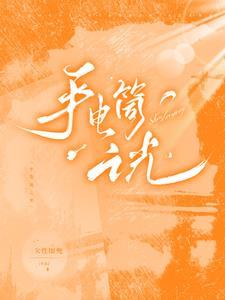 手电筒光线中有无数条射线对不对