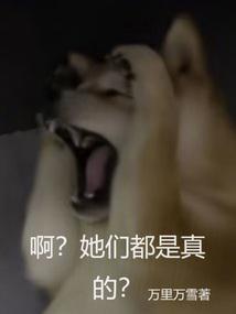 他们是真爱