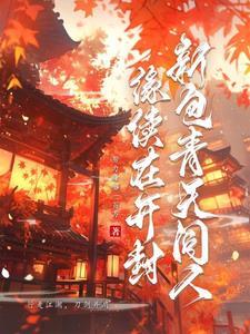 新包青天同人