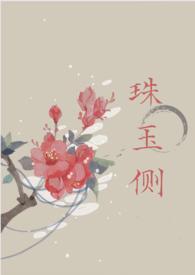 珠玉侧古风言情番外篇内容