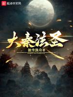 大秦法律很严吗