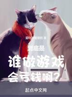 做游戏赚钱犯法吗