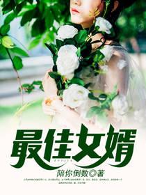 最佳女婿完结免费阅读