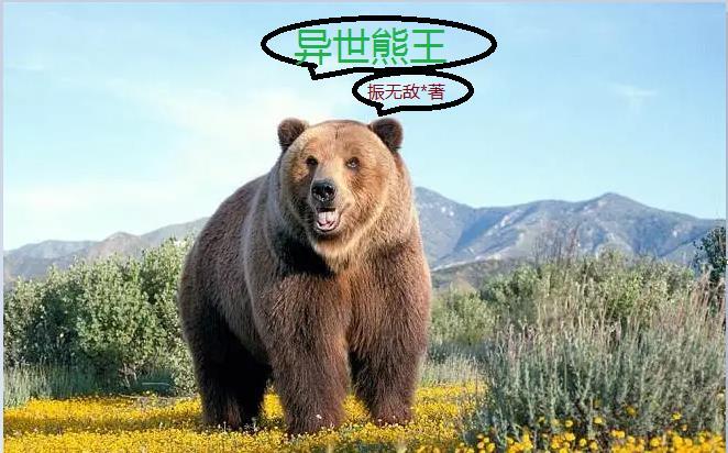 熊熊勇闯异世界的