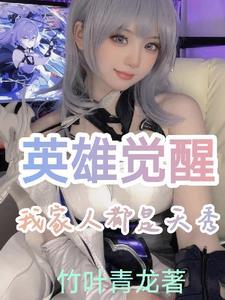 英雄觉醒2