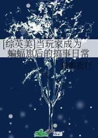 [综英美