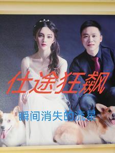仕途狂飙林晓完整版