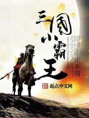 小霸王三国游戏大全
