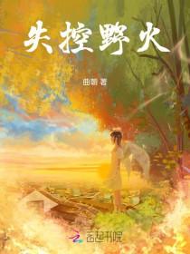 失控的厉火怎么打